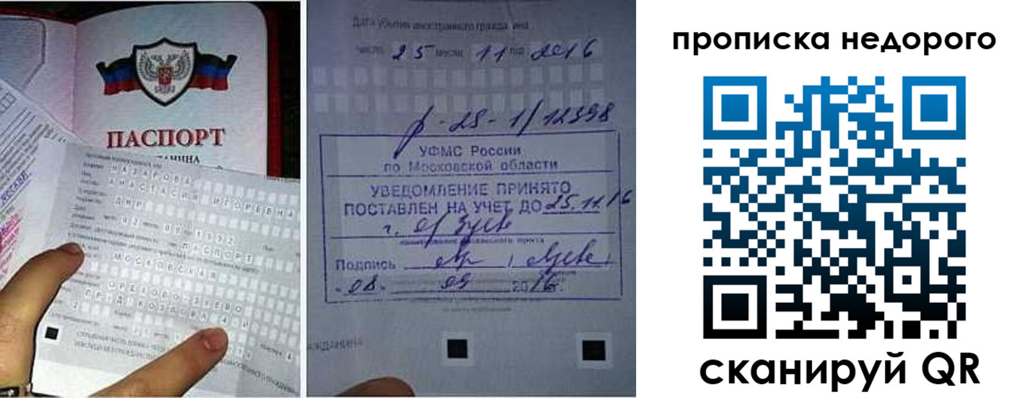 прописка от собственника в Мончегорске