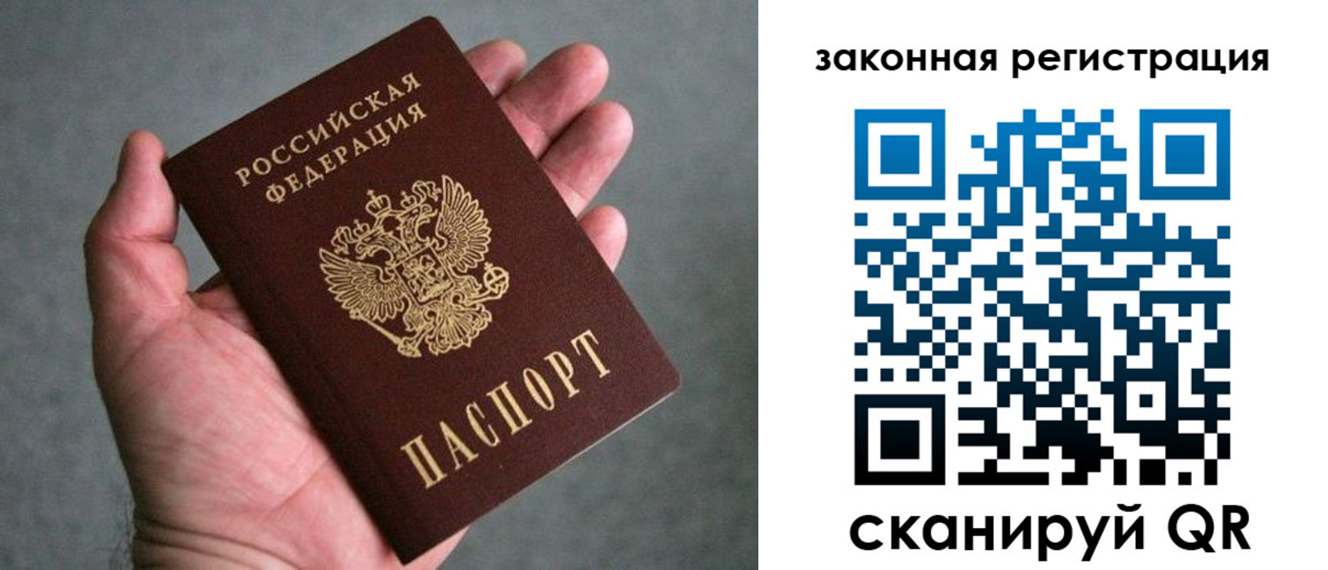 временная регистрация надежно в Мончегорске